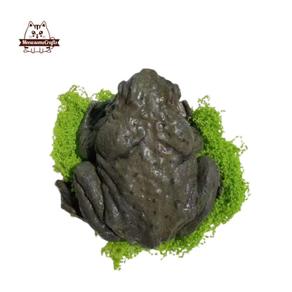 Frog Animal Customizable Handmade Squishy Fidget Toy - Small B